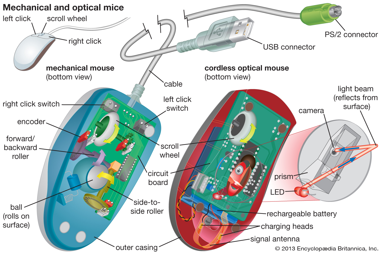 How Does A Mouse Function On A Pc? SEO Rights